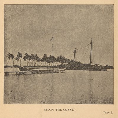 Le long de la côte - Alice D. Le Plongeon